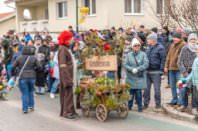 161. Lichtenwörther Faschingsumzug, 15.02.2026