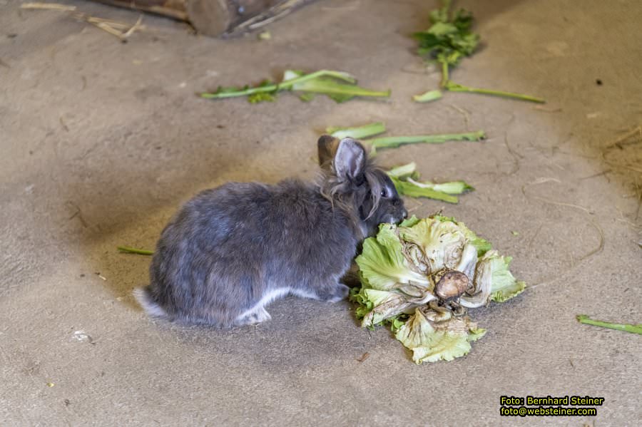 Kittenberger Erlebnisgärten, Juni 2023