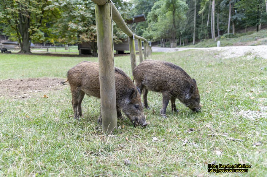 Naturpark Sparbach, September 2023