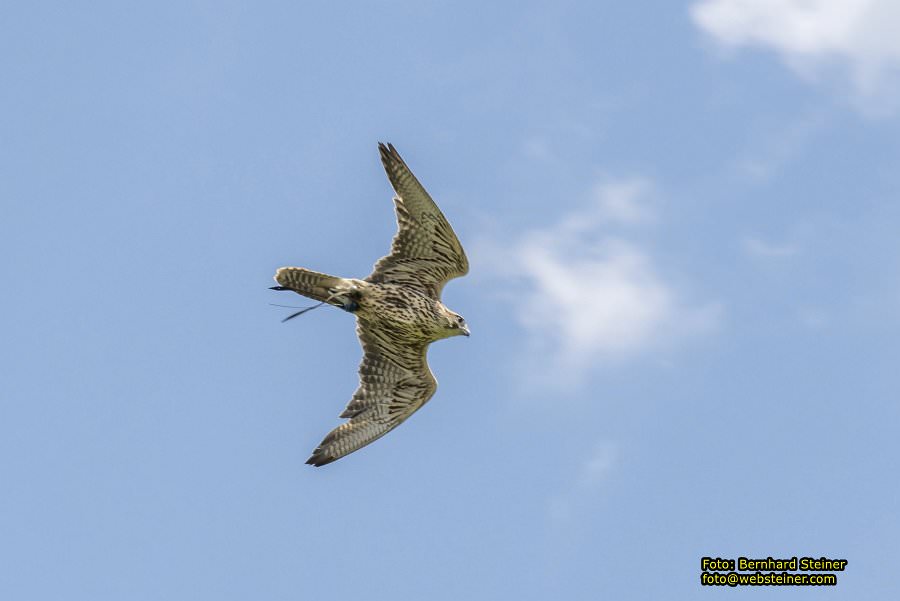 Renaissanceschloss Rosenburg, Juni 2023