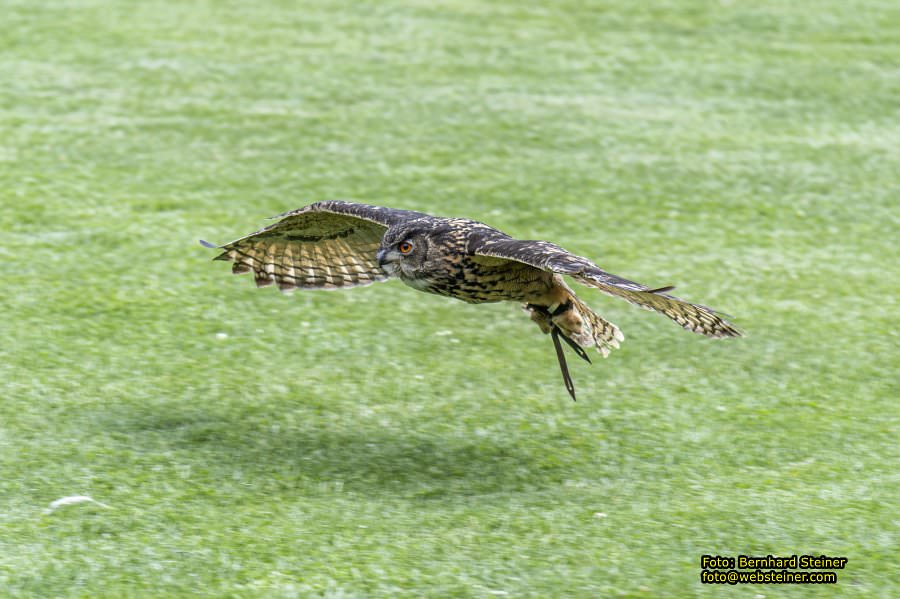 Renaissanceschloss Rosenburg, Juni 2023