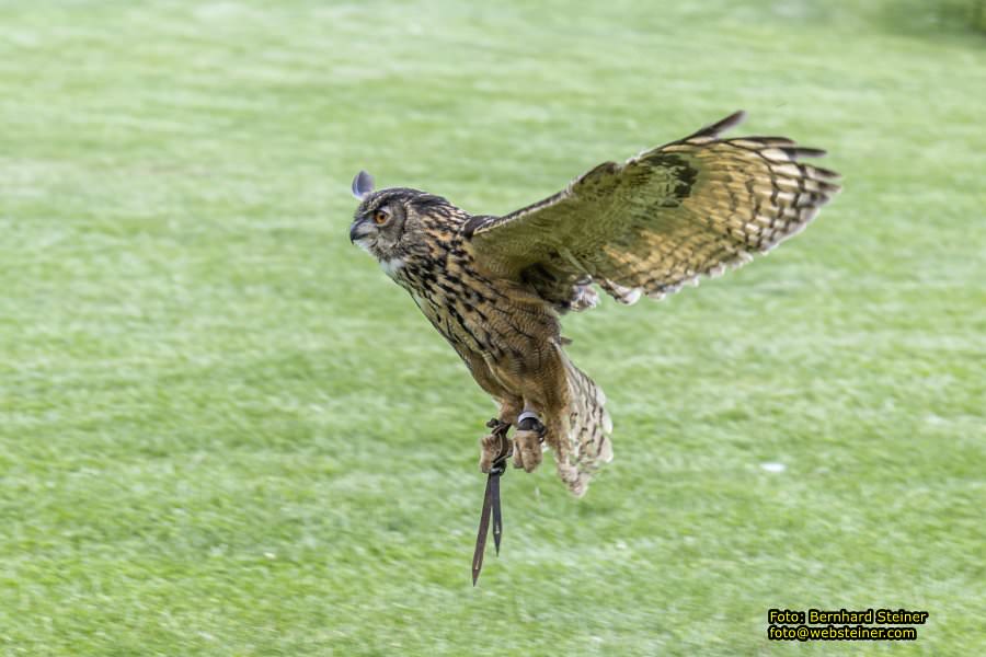 Renaissanceschloss Rosenburg, Juni 2023