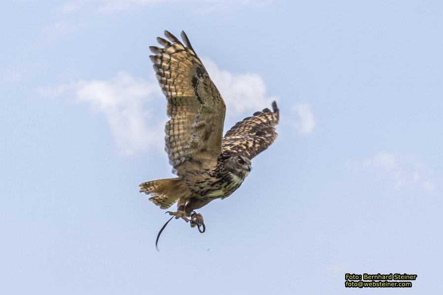 Renaissanceschloss Rosenburg, Juni 2023