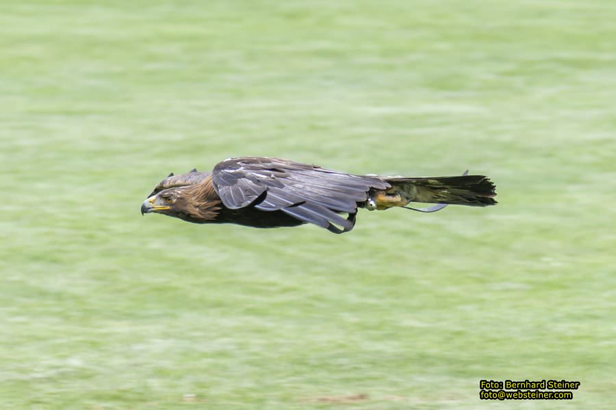 Renaissanceschloss Rosenburg, Juni 2023
