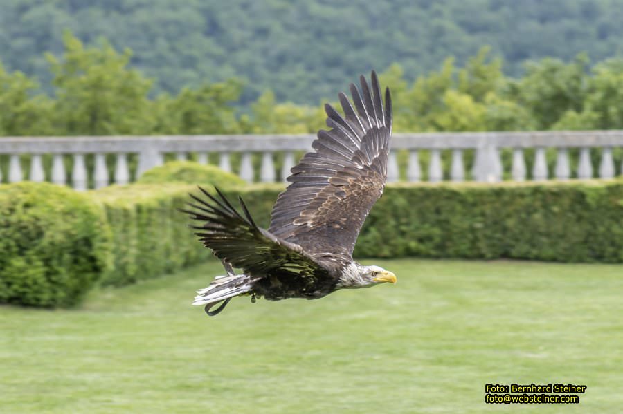 Renaissanceschloss Rosenburg, Juni 2023