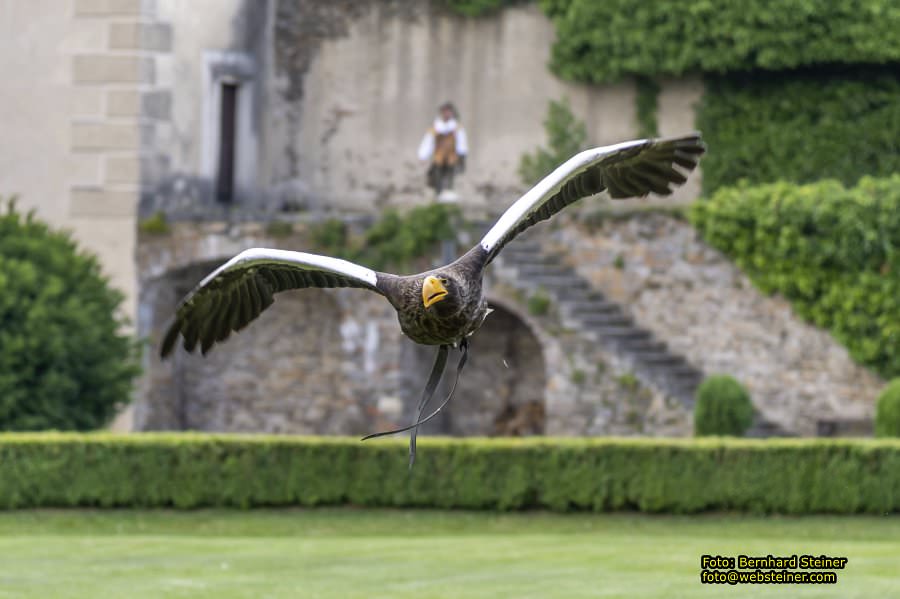 Renaissanceschloss Rosenburg, Juni 2023