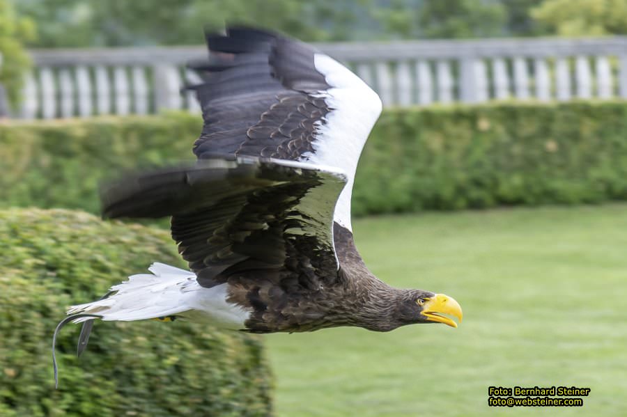Renaissanceschloss Rosenburg, Juni 2023