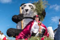 Zillingdorfer Faschingsumzug, 17.02.2026