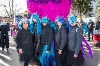 Zillingdorfer Faschingsumzug, 17.02.2026