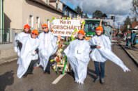 Zillingdorfer Faschingsumzug, 17.02.2026