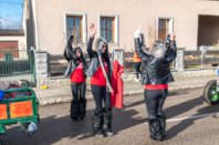 Zillingdorfer Faschingsumzug, 17.02.2026