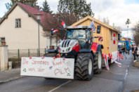 Zillingdorfer Faschingsumzug, 17.02.2026