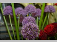 Erffnung Blumenzeiten von Eva Stanek, 01.03.2013