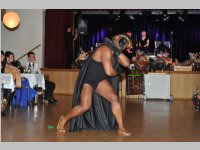 15. Stadtball in Neufeld, 11.01.2014