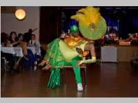 15. Stadtball in Neufeld, 11.01.2014