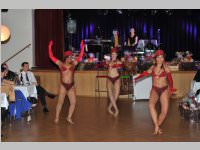 15. Stadtball in Neufeld, 11.01.2014