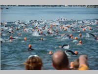 Triathlon in Neufeld - Sprint, 08.06.2013