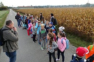 Wandertag der 3. Klassen VS Neufeld nach Zillingdorf/W., 28.09.2016