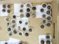 Weihnachtswerkstatt � la Lollipop, 17.12.2014