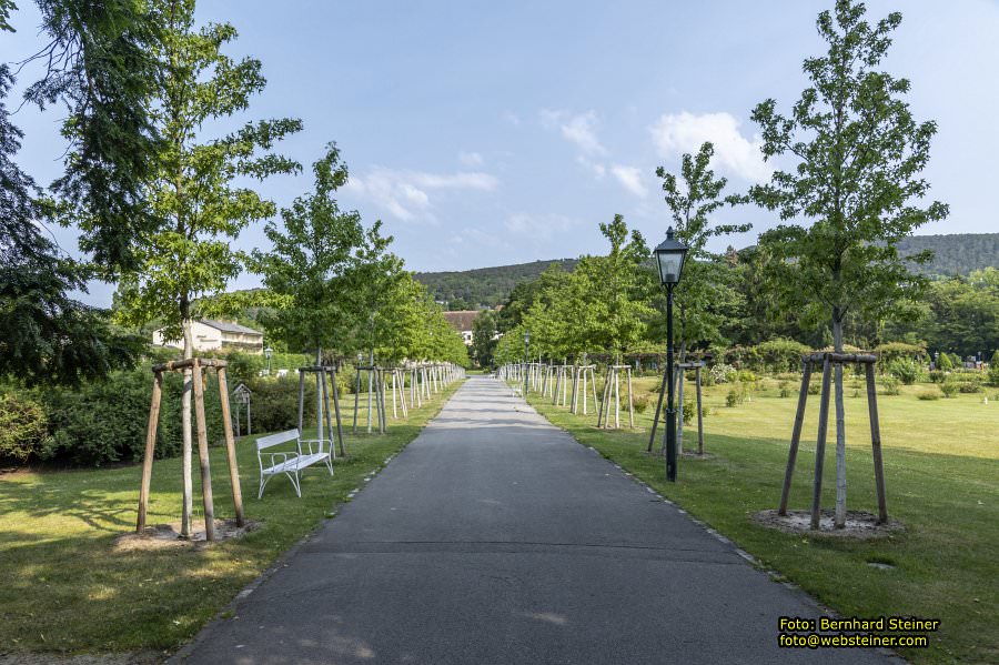 Rosarium im Doblhoffpark Baden, Juli 2023