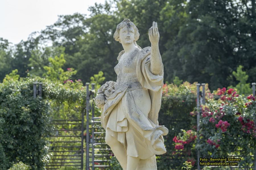 Rosarium im Doblhoffpark Baden, Juli 2023