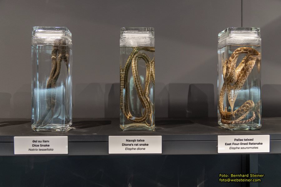 Baku, Azerbaijan, October 2025