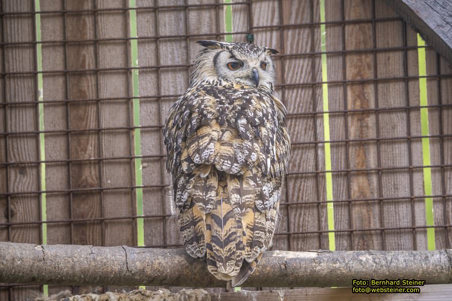 Natur- und Erlebnispark Buchenberg, Mai 2023