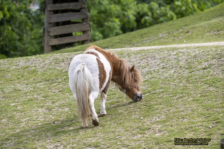 Natur- und Erlebnispark Buchenberg, Mai 2023
