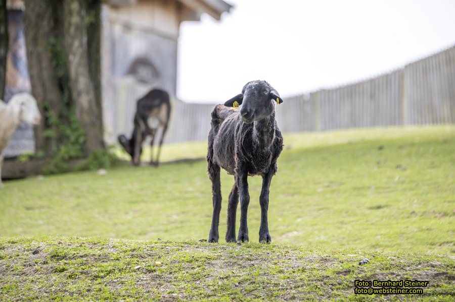 Natur- und Erlebnispark Buchenberg, Mai 2023