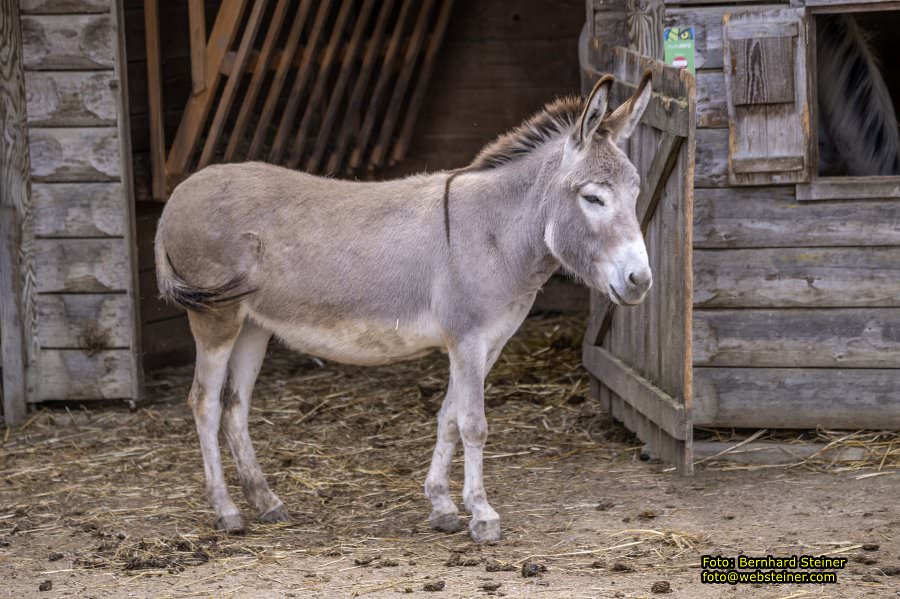 Natur- und Erlebnispark Buchenberg, Mai 2023