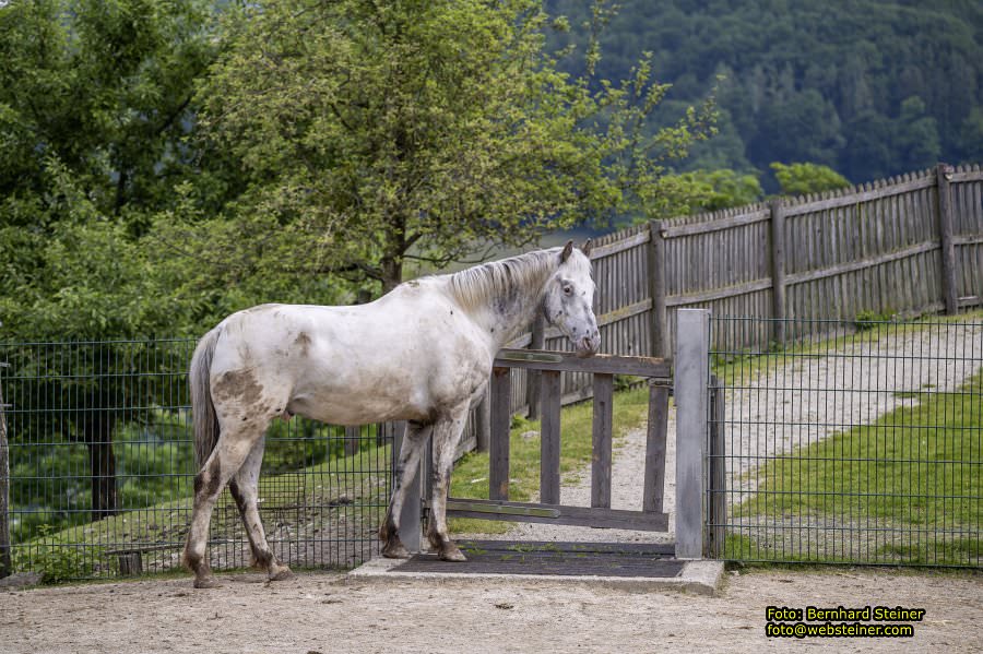 Natur- und Erlebnispark Buchenberg, Mai 2023