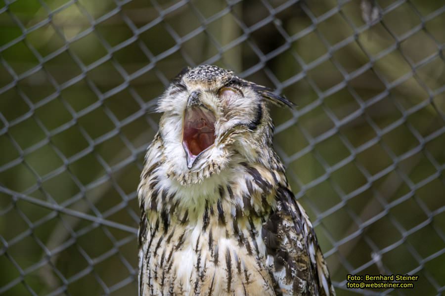 Natur- und Erlebnispark Buchenberg, Mai 2023