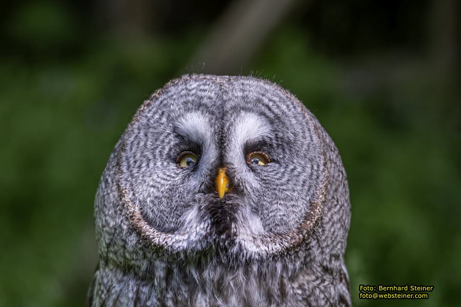 Natur- und Erlebnispark Buchenberg, Mai 2023