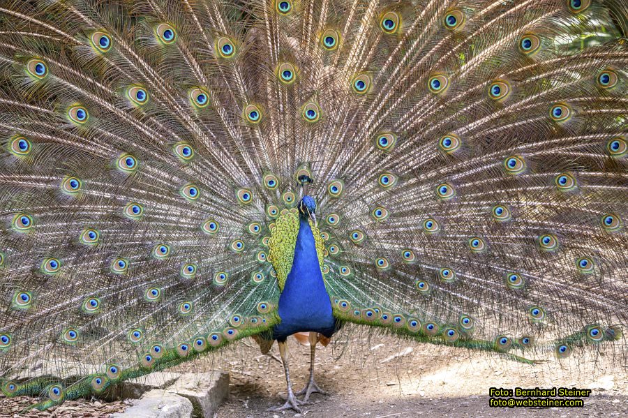 Natur- und Erlebnispark Buchenberg, Mai 2023