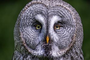 Projekt: Natur- und Erlebnispark Buchenberg, Mai 2023