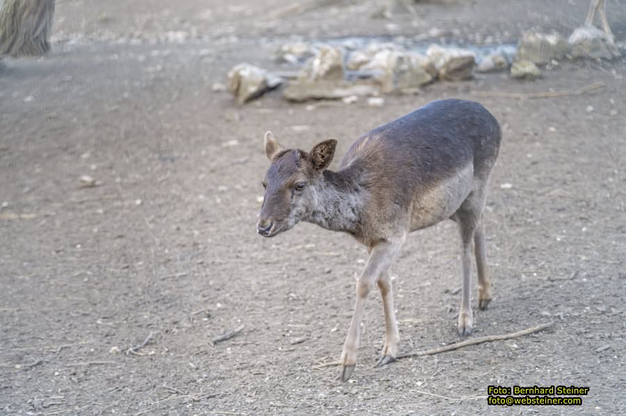 Budapest, M�rz 2026