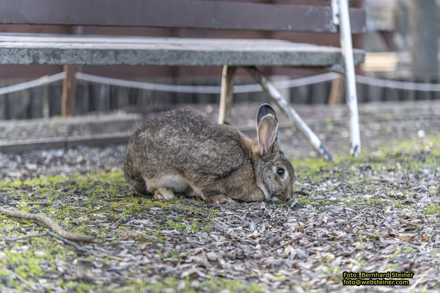 Budapest, M�rz 2026