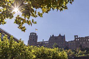 Projekt: Heidelberg - die Stadt der Romantik, August 2022