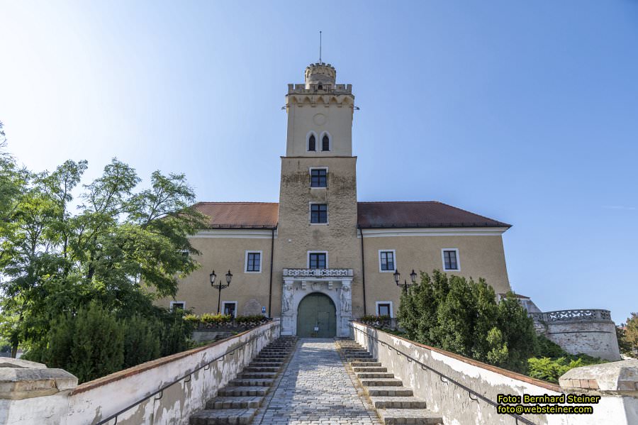 D�rnkrut im Marchfeld, August 2023