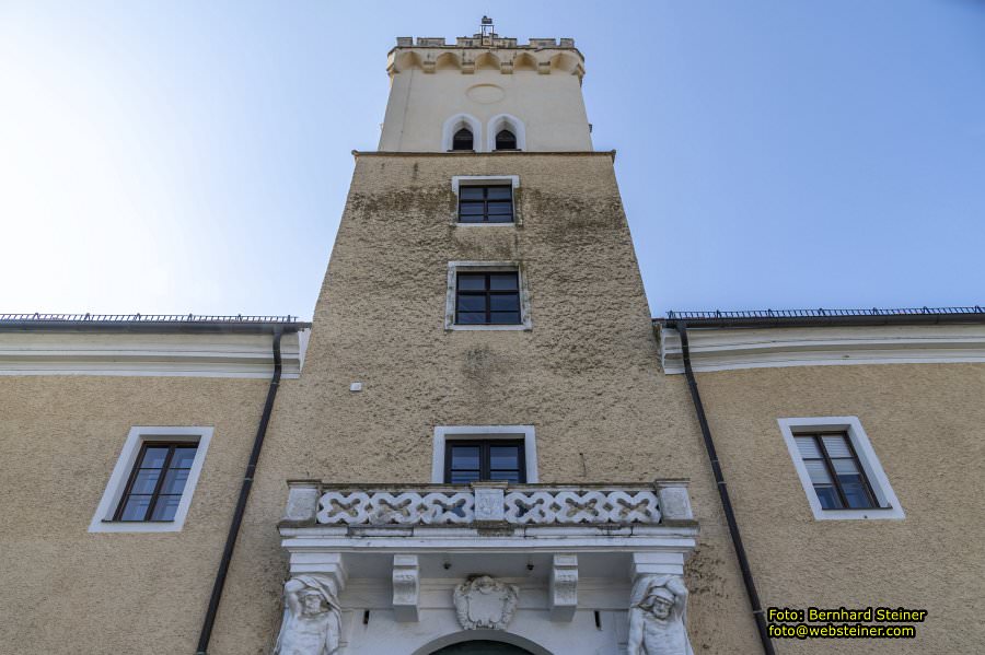 D�rnkrut im Marchfeld, August 2023