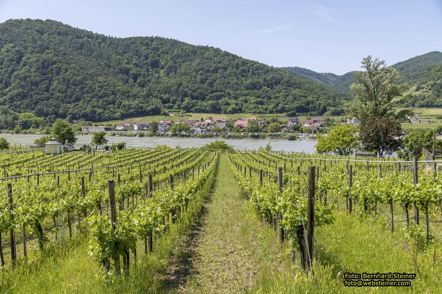 Stift Drnstein an der Wachaubahn, Juni 2023