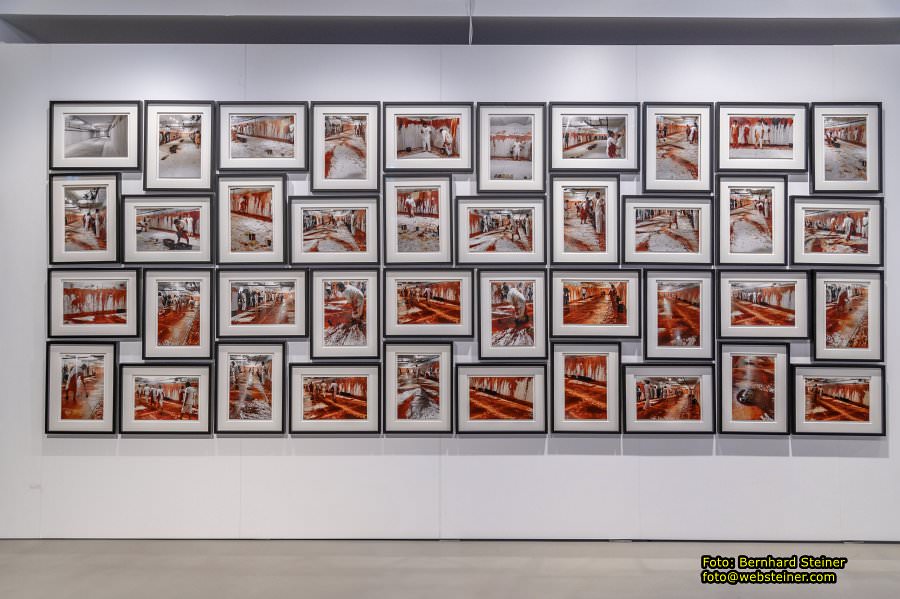 Hermann Nitsch - Farbenwelt, September 2023