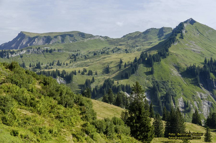Hoher Freschen in Vorarlberg, August 2017