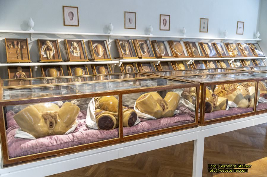 Josephinum in Wien, April 2023