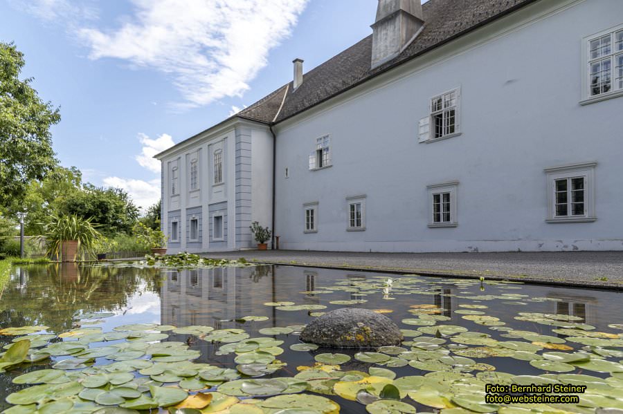 Lackenbach, August 2023