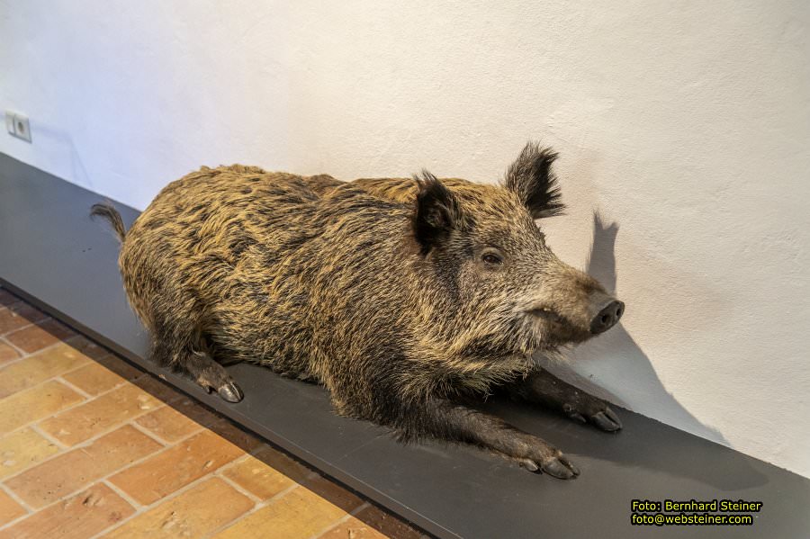 Lackenbach, August 2023