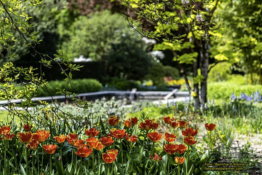 Botanischer Garten Linz, Mai 2022