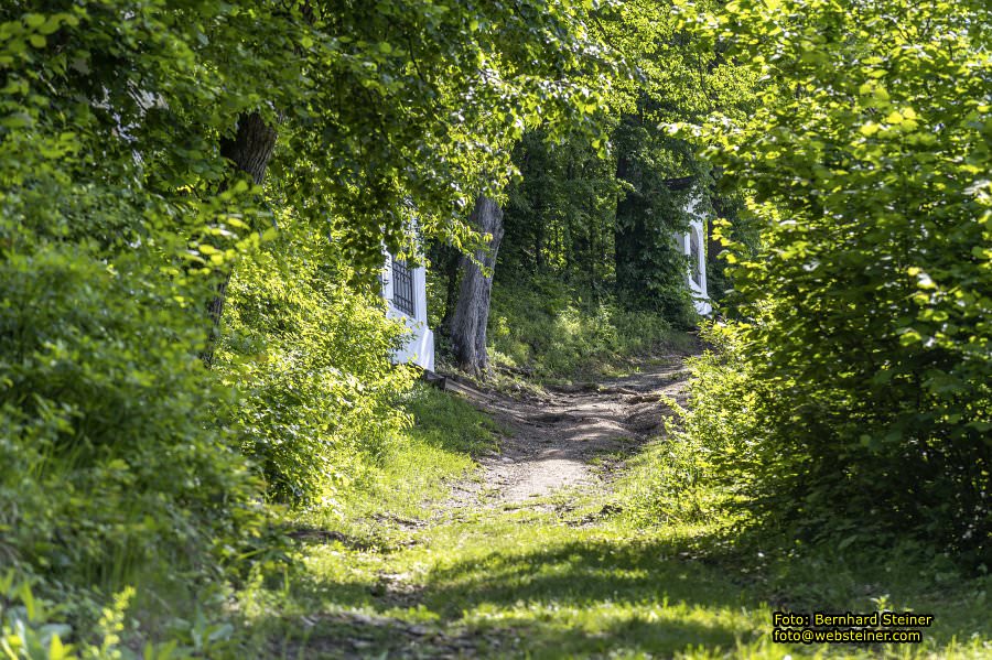 Burg Lockenhaus, Mai 2023