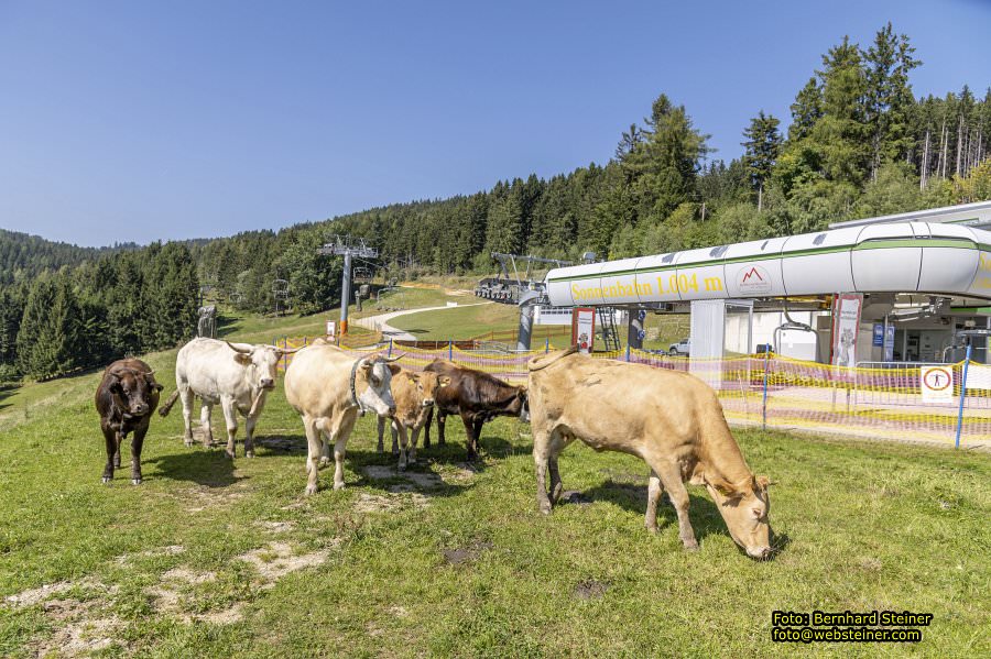 Erlebnisalm Sessellift Sonnenbahn, Mnichkirchen, September 2023
