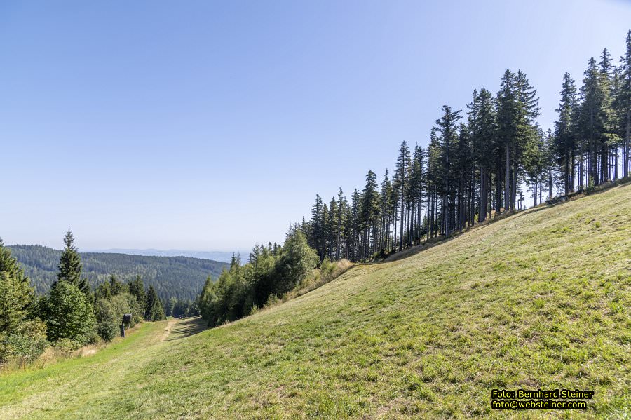 Erlebnisalm Sessellift Sonnenbahn, Mnichkirchen, September 2023